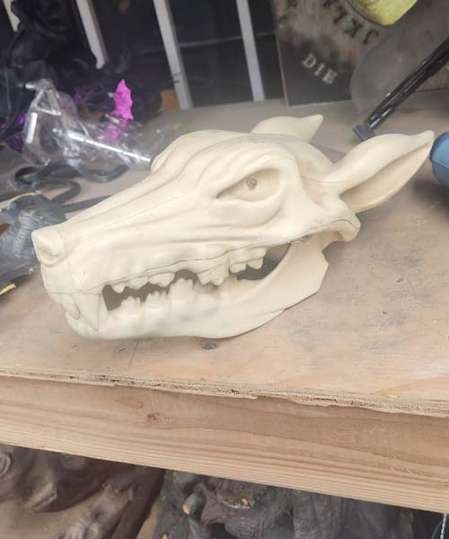 Wolf skull
