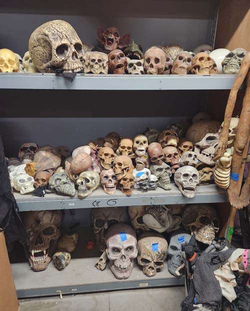 Dozens of plastic skulls of various sizes