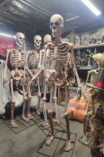 7 foot standing skeleton with lights