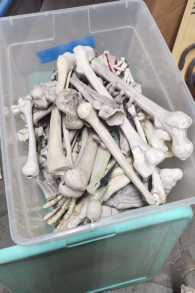 12 gallon tubs of skeleton bones