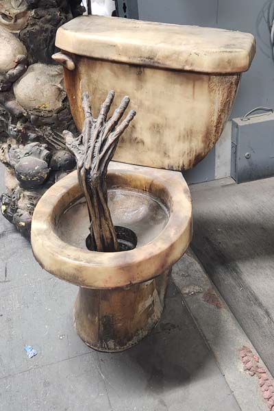 Toilet with hand