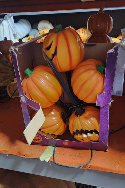 Pumpkin lights fir the lawn