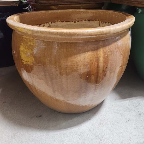 Mustard Fishbowl Pots