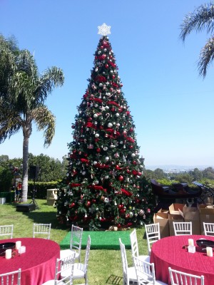 Christmas Tree: Artificial 25 ft. example