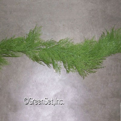 Seaweed Fern Leaf
