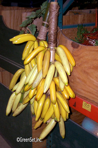 Artificial Banana Bunch in Artificial Fruits